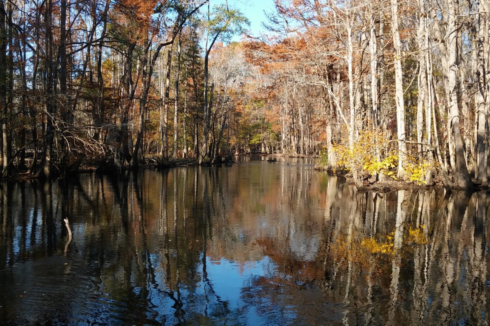 edisto-river-feasibility-study-plan-the-jla-group